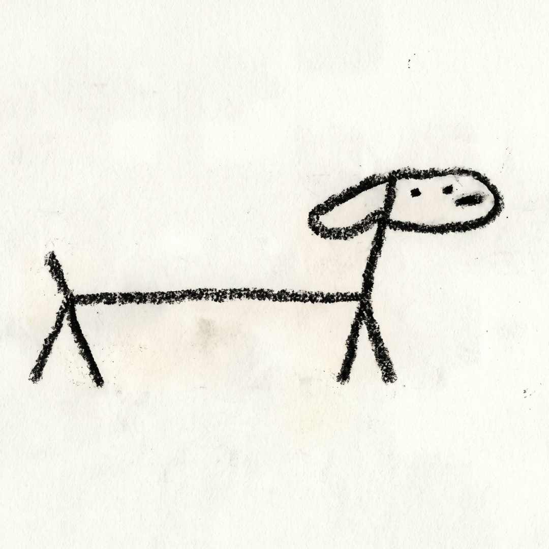 matsui DOGS
